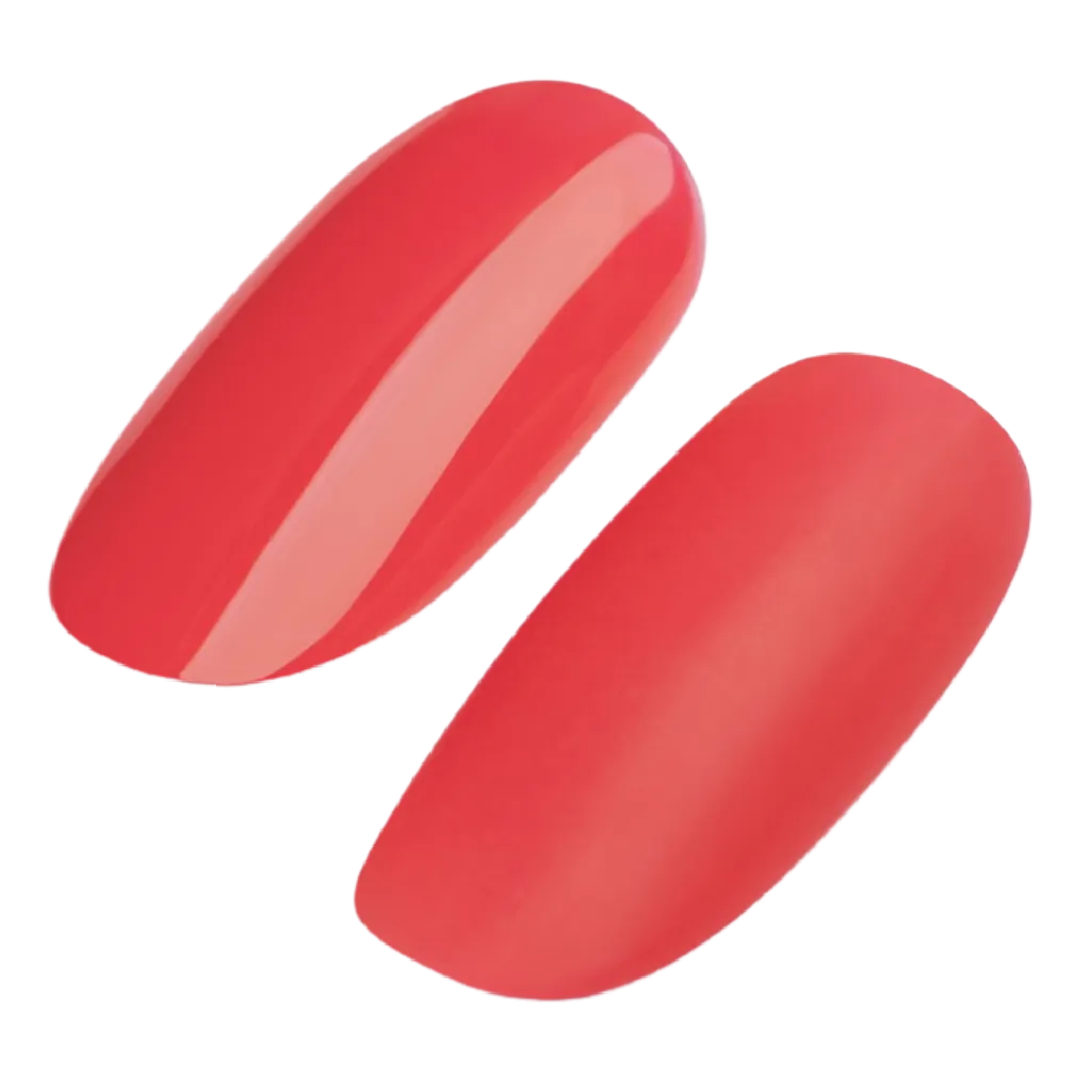 GEL POLISH #213