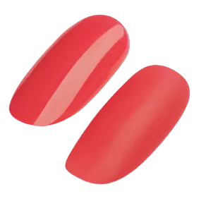 GEL POLISH #213