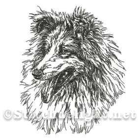 SDS0469 Pencil Sketch Collie